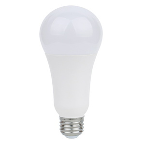 SS11329 Incandescent Light Bulb - White