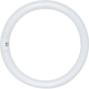 SS6507 CFL Circline Compact Fluorescent Light Bulb - White