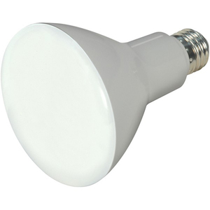 SS9621 LED Light Bulb - Frosted