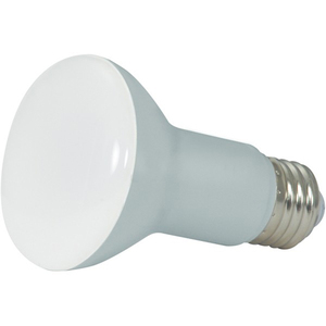 SS9630 LED Light Bulb - Frosted