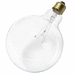 Satco SS3010 Clear Incandescent