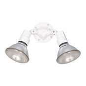 Generation Lighting Flood Lights