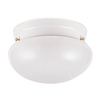  Flush Mount Ceiling Light - White
