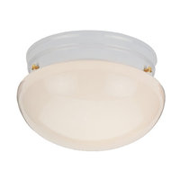  Webster Flush Mount Ceiling Light - White