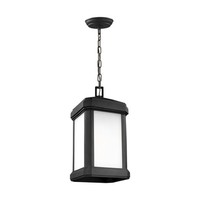  Gaelan Hanging Hanging Lantern - Black