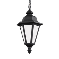  Brentwood Hanging Hanging Lantern - Black