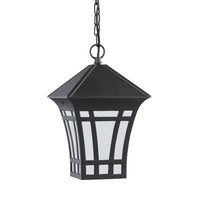  Herrington Hanging Hanging Lantern - Black