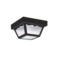 Ceiling Mounted Light 8-1/4" Width