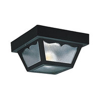 Ceiling Mounted Light 10-1/4" Width