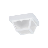 Ceiling Mounted Light 10-1/4" Width