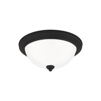 Flush Mount Ceiling Light Flush Mount Ceiling Light