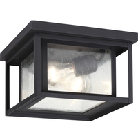 Ceiling Mounted Light 10" Width
