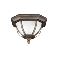Ceiling Mounted Light 13-1/2" Width