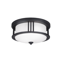  Crowell Ceiling Ceiling Mounted - Black