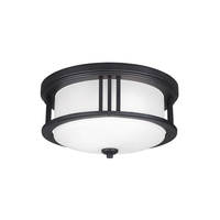  Crowell Ceiling Ceiling Mounted - Black