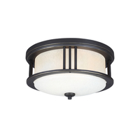 Ceiling Mounted Light