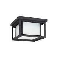 Ceiling Mounted Light 10" Width