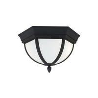  Wynfield Ceiling Ceiling Mounted - Black