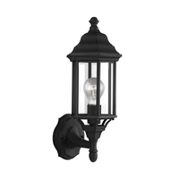  Sevier Entrance Outdoor Wall Light - Black