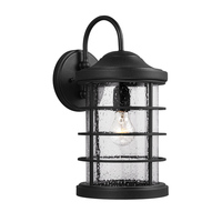  Sauganash Entrance Outdoor Wall Light - Black