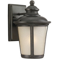  Cape May Entrance Outdoor Wall Light - Burled Iron