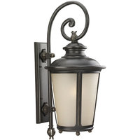  Cape May Entrance Outdoor Wall Light - Burled Iron