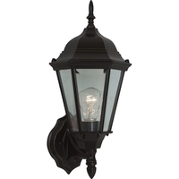Outdoor Wall Light 16-5/8" Height