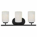 Generation Lighting GL41162839 Blacksmith 3 Bulb Bathroom Light