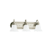 Generation Lighting GL44852EN3965 Antique Brushed Nickel 3 Bulb Bathroom Light