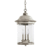 Generation Lighting GL60081EN965 Antique Brushed Nickel Outdoor Hanging Lantern