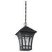 Generation Lighting GL6013112 Black Outdoor Hanging Lantern