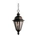 Generation Lighting GL602512 Black Outdoor Hanging Lantern