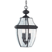 Generation Lighting GL6039EN12 Black Outdoor Hanging Lantern
