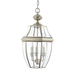 Generation Lighting GL6039EN965 Antique Brushed Nickel Outdoor Hanging Lantern