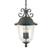 Generation Lighting GL6059EN46 Oxidized Bronze Outdoor Hanging Lantern