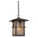 Generation Lighting GL6088051 Statuary Bronze Outdoor Hanging Lantern