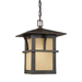 Generation Lighting GL60880EN351 Statuary Bronze Outdoor Hanging Lantern