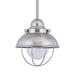 Generation Lighting GL615093S98 Brushed Stainless Outdoor Hanging Lantern