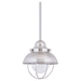 Generation Lighting GL615098 Brushed Stainless Outdoor Hanging Lantern