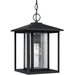 Generation Lighting GL6202712 Black Outdoor Hanging Lantern