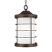 Generation Lighting GL622445171 Antique Bronze Outdoor Hanging Lantern