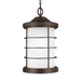 Generation Lighting GL6224451EN371 Antique Bronze Outdoor Hanging Lantern