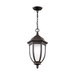 Generation Lighting GL622930171 Antique Bronze Outdoor Hanging Lantern