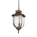 Generation Lighting GL623630171 Antique Bronze Outdoor Hanging Lantern