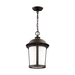 Generation Lighting GL625070171 Antique Bronze Outdoor Hanging Lantern