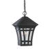 Generation Lighting GL6913112 Black Outdoor Hanging Lantern