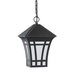 Generation Lighting GL69131EN312 Black Outdoor Hanging Lantern