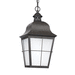 Generation Lighting GL6927246 Oxidized Bronze Outdoor Hanging Lantern