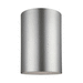 Generation Lighting GL7813901EN3753 Painted Brushed Nickel Outdoor Ceiling Mounted Light