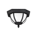 Generation Lighting GL783630212 Black Outdoor Ceiling Mounted Light